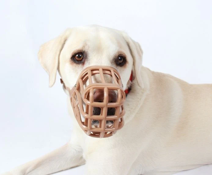 CoA Baskerville Anti-Scavenge Muzzle for Dogs - Image 10
