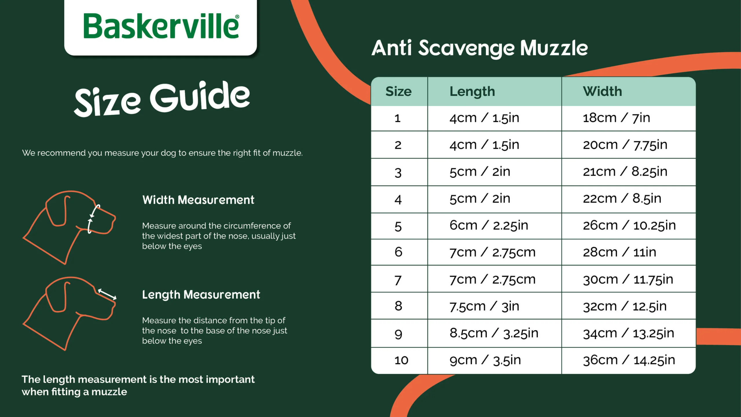 CoA Baskerville Anti-Scavenge Muzzle for Dogs - Image 4
