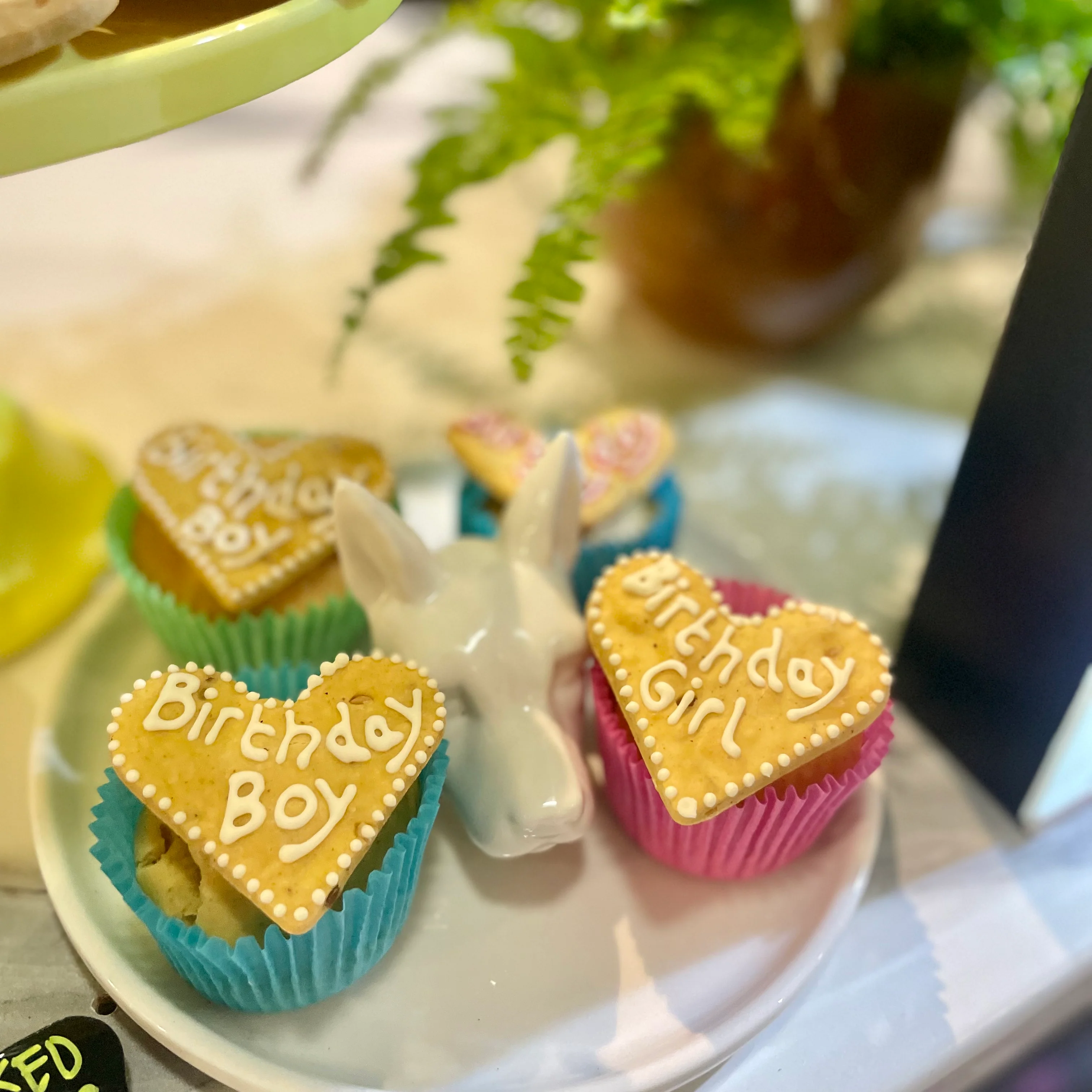 Birthday Boy or Girl Cupcake for Dogs - Image 7