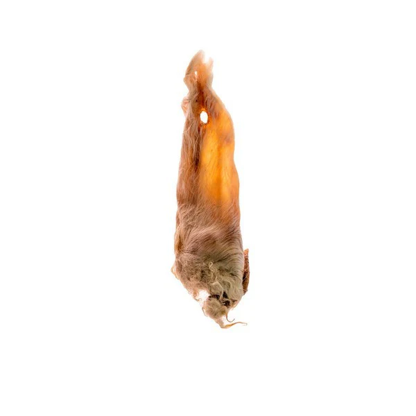Create Your Own Natural Selection Pack - Image 27