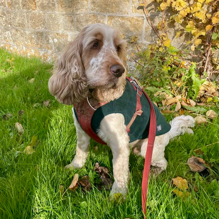 Medium Breed Dog Fleece Jumper - Image 16
