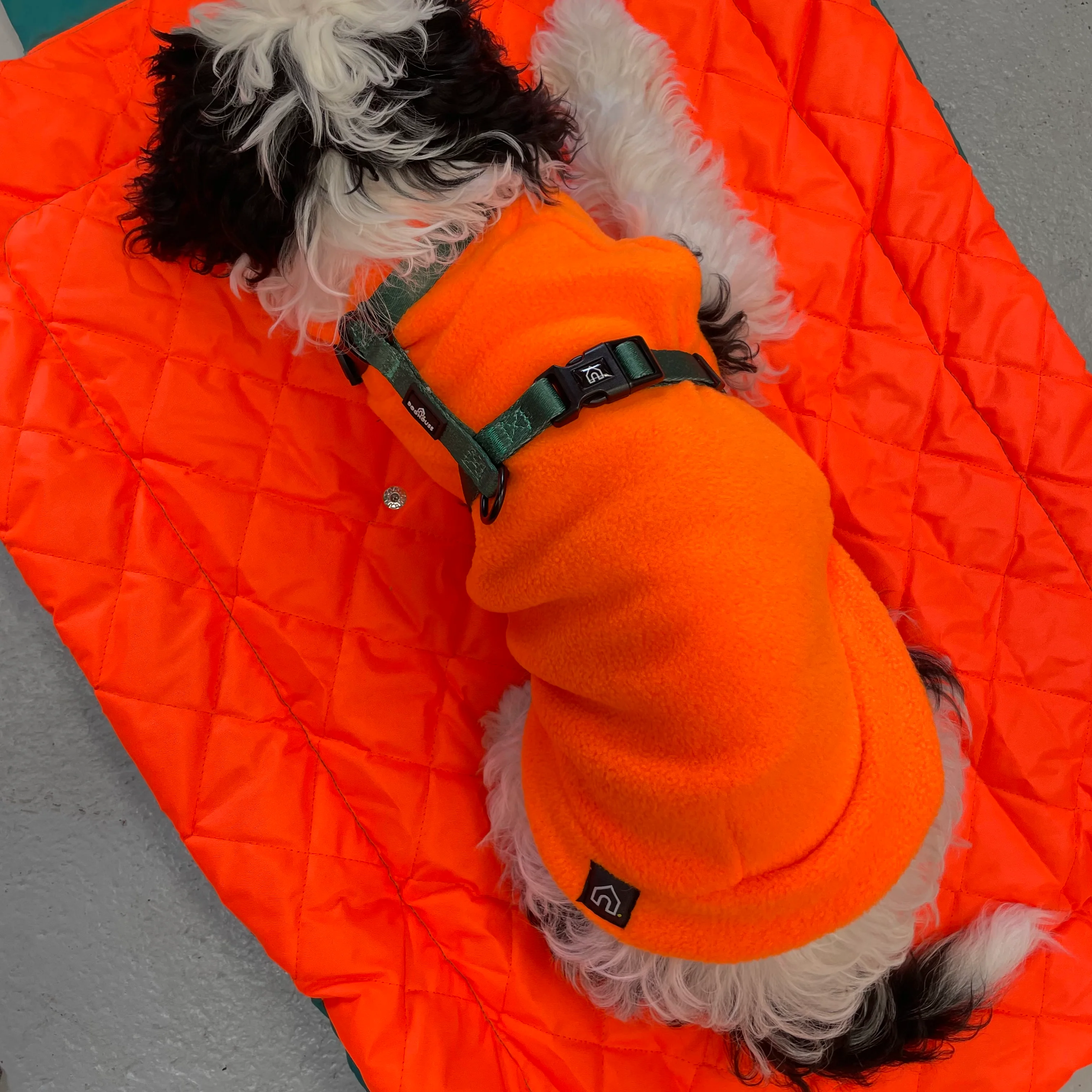 Doghouse Waterproof Pet Settle Mat - Image 4