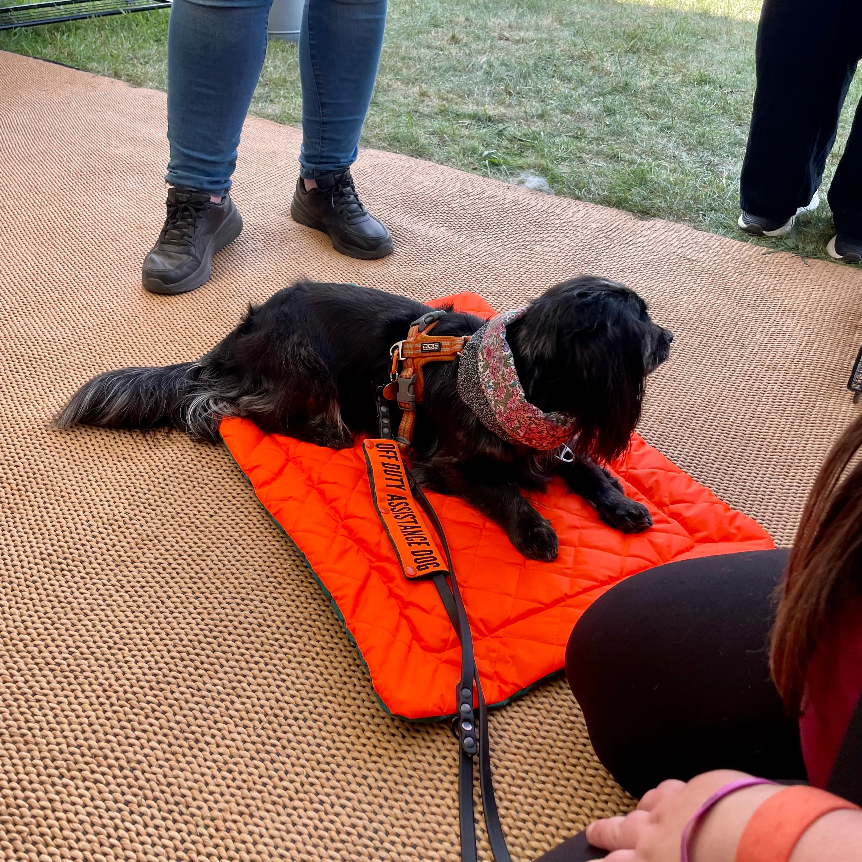 Doghouse Waterproof Pet Settle Mat - Image 5
