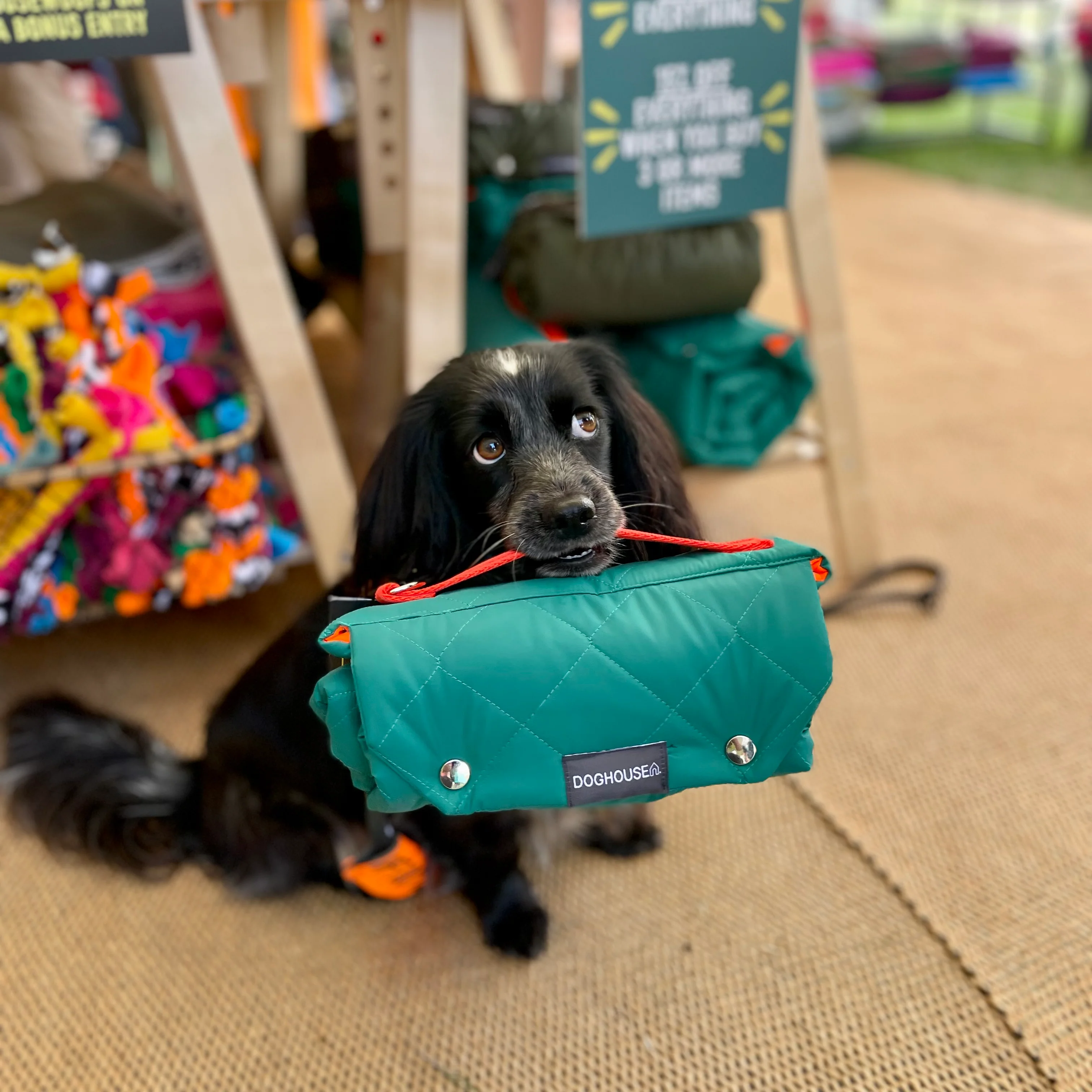 Doghouse Waterproof Pet Settle Mat - Image 6