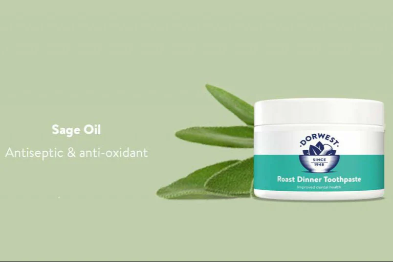 Dorwest Roast Dinner Toothpaste for Dogs - Image 3