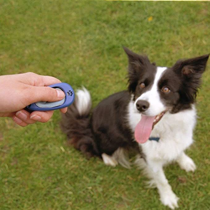 Coachi Clix Multi Training Clicker for Dogs - Image 4