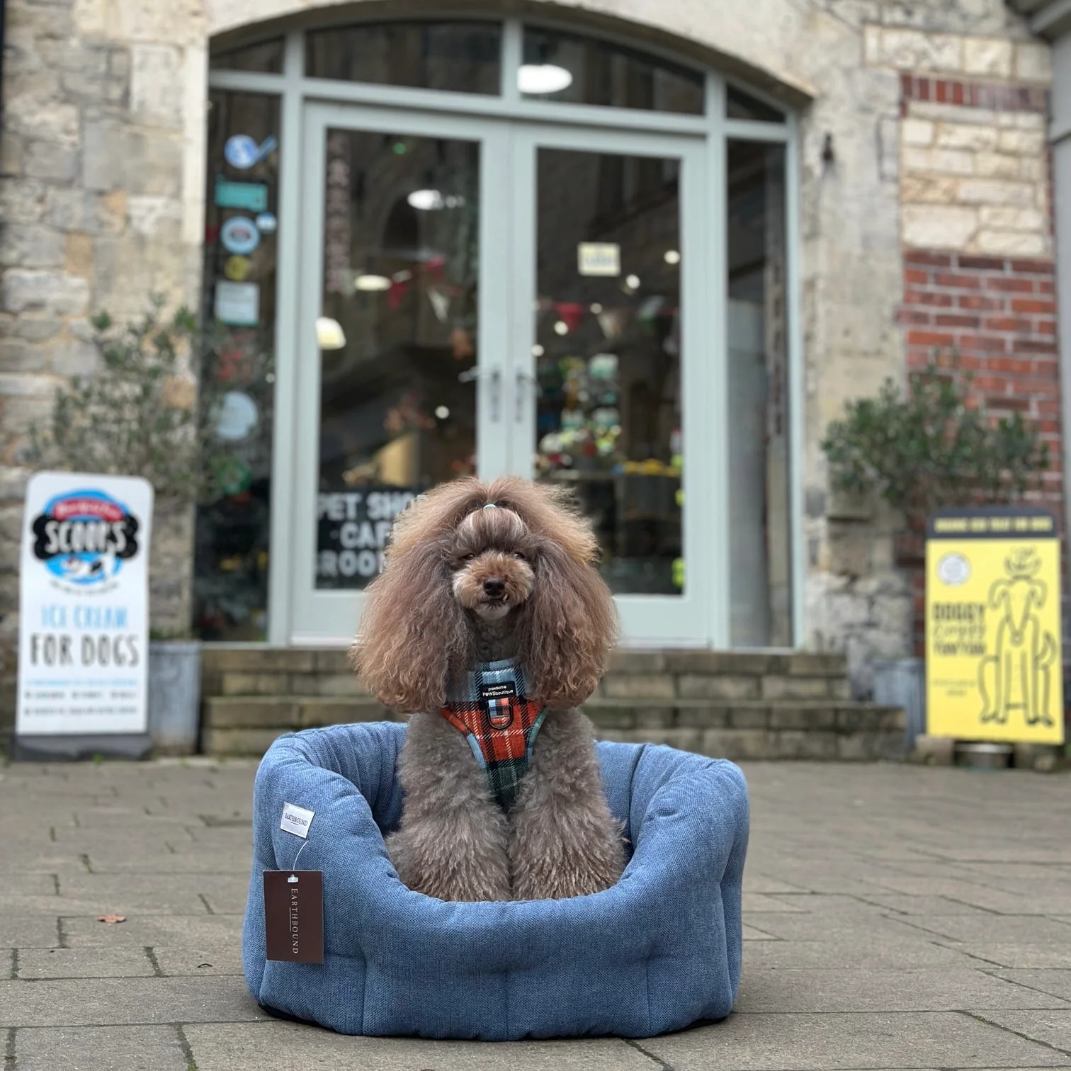 Earthbound Orkney Daisy Blue Dog Bed - Image 2