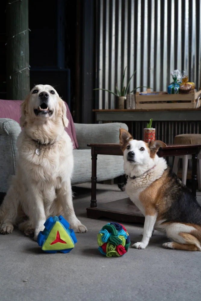 Fabric Snuffle Ball Toy - Image 3