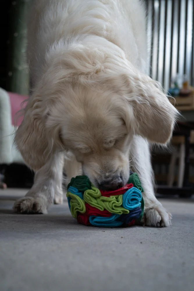 Fabric Snuffle Ball Toy - Image 5