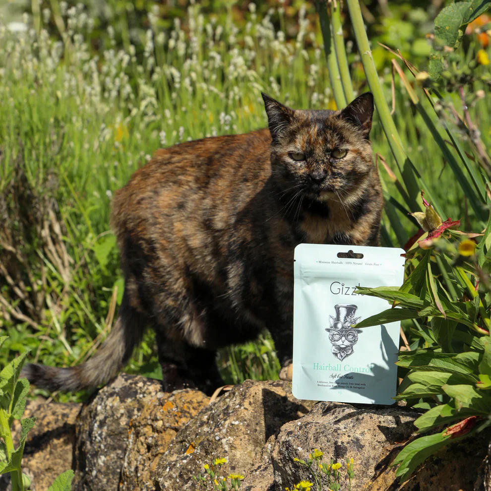 Gizzls Hairball Control Free Range Ostrich Soft Cat Treats - Image 2