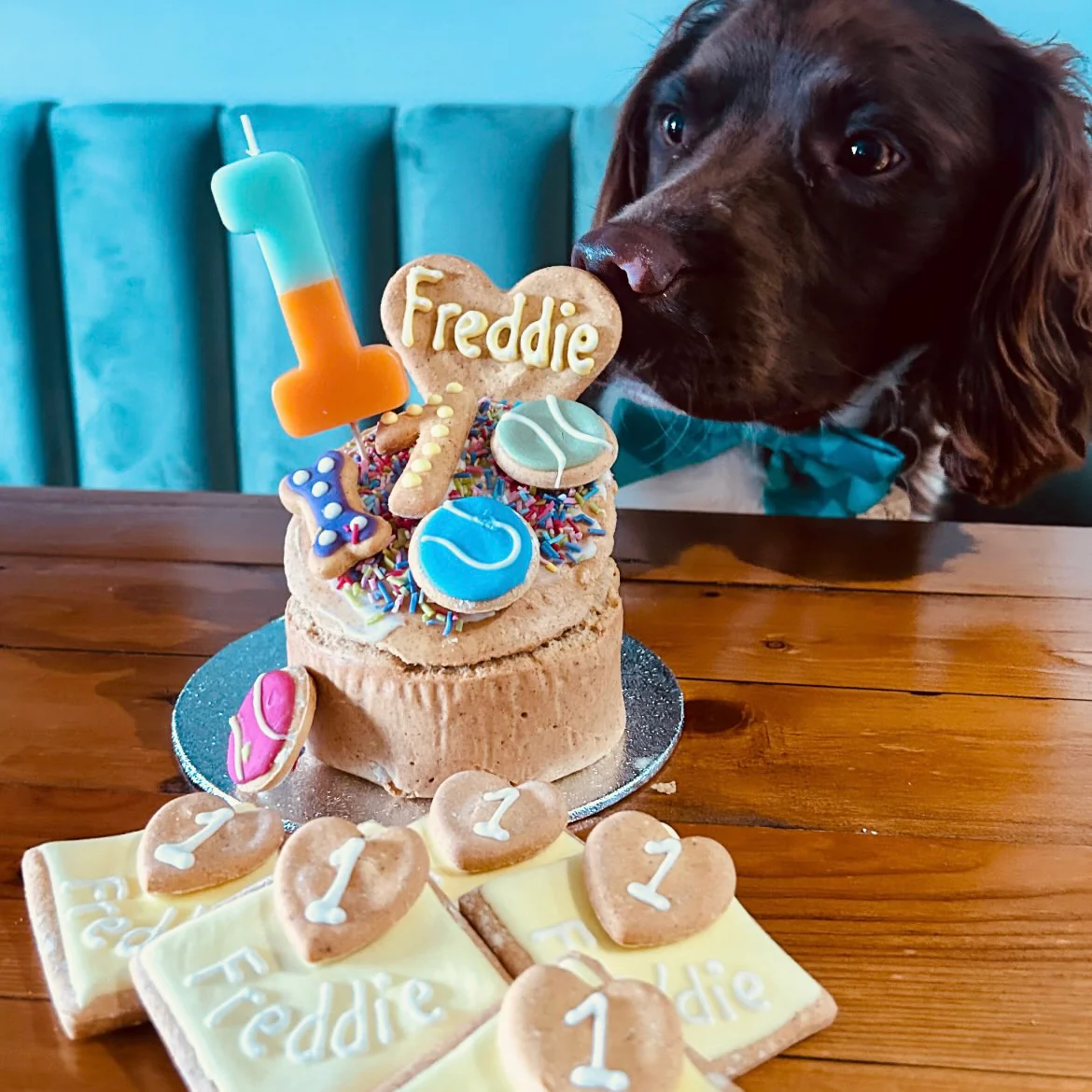 Handmade Birthday Cakes for Dogs - Image 5