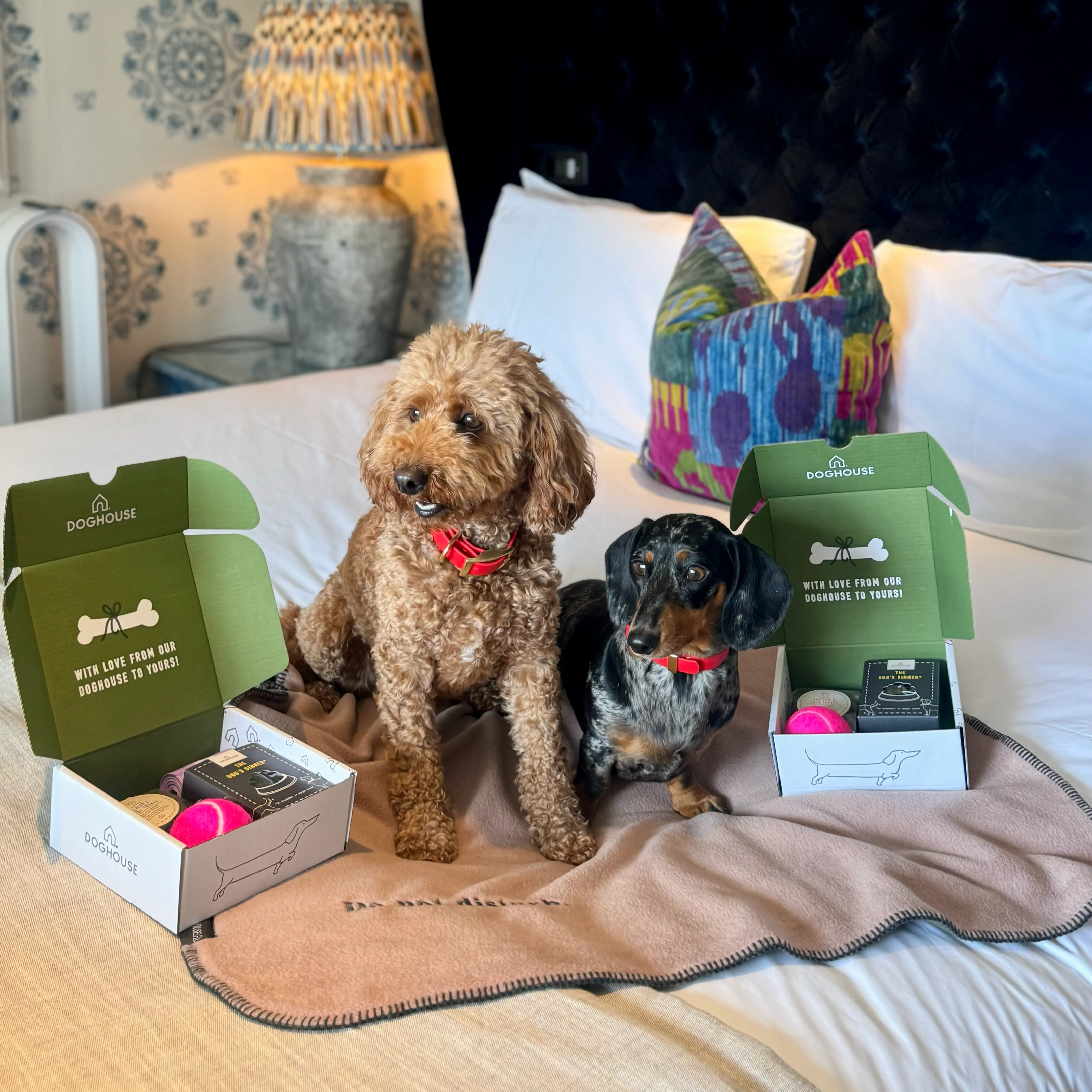 Hotel Starter Pack for Dog Friendly Hotels - Image 5