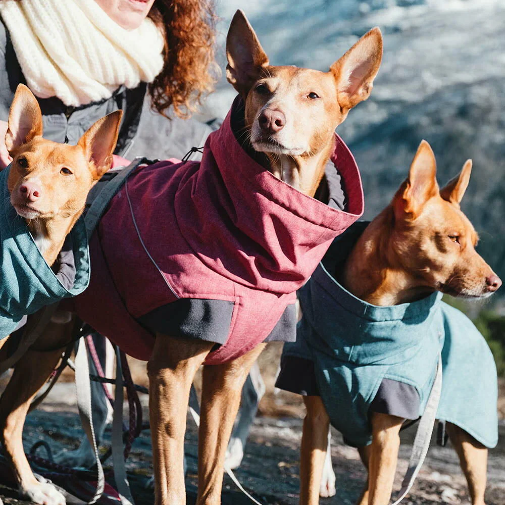 Hurtta Expedition Parka Dog Coat - Image 4
