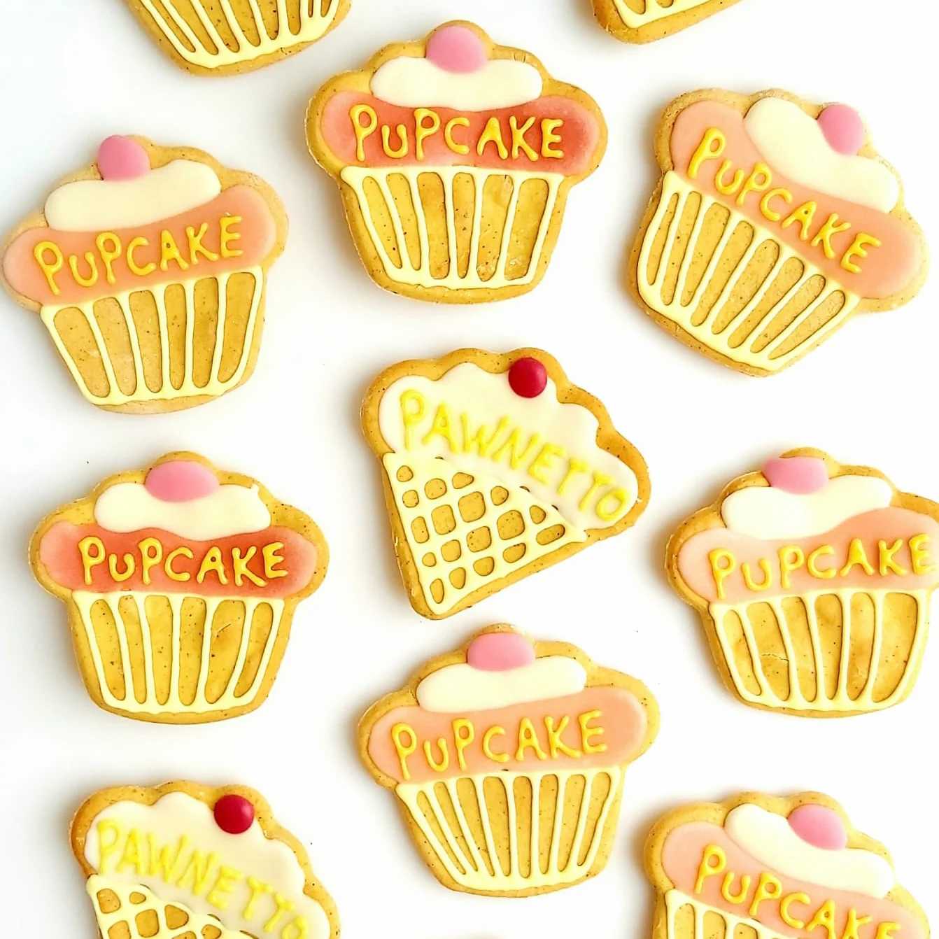 Pupcake Biscuits for Dogs - Image 6