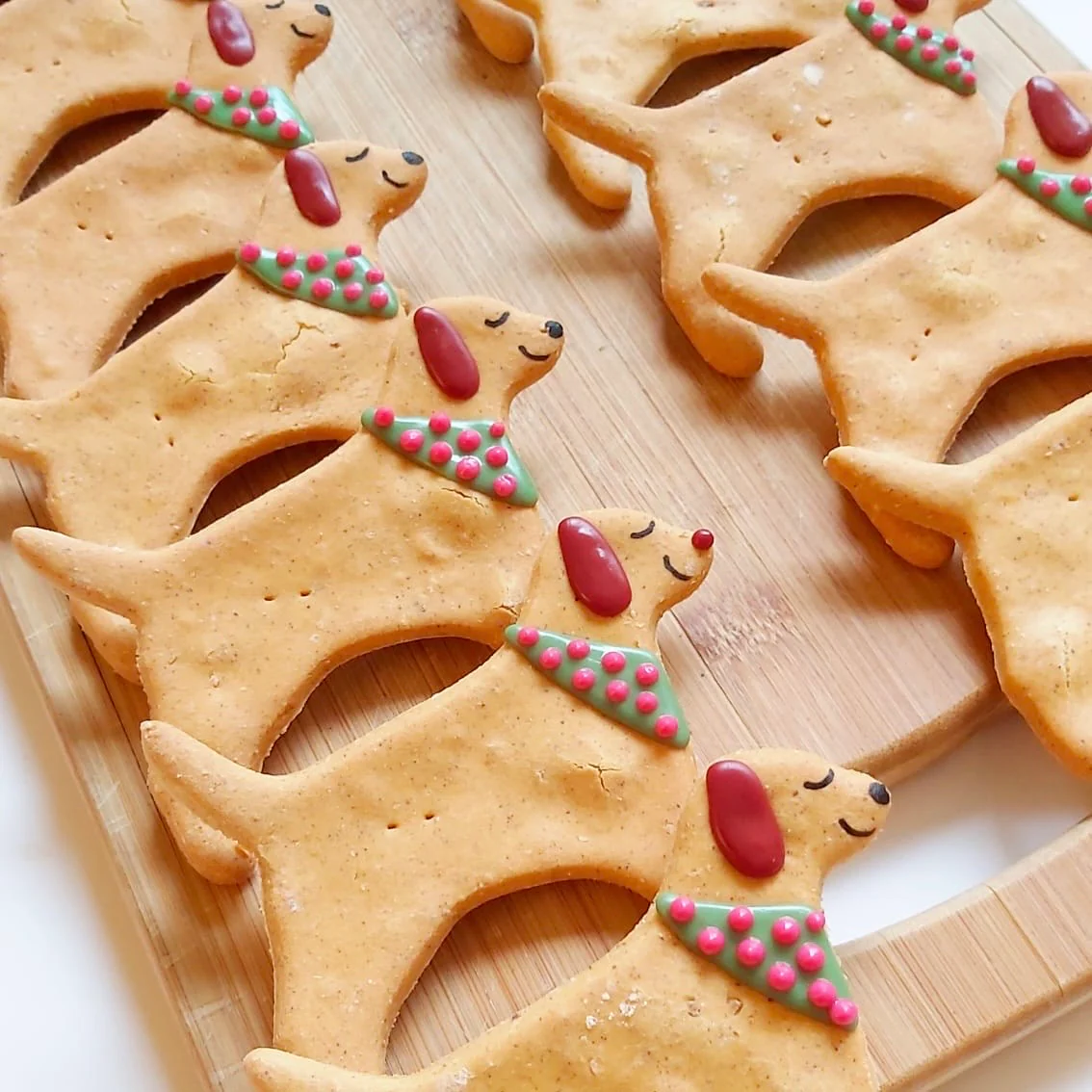 Large Dog in Scarf Biscuits for Dogs - Image 2