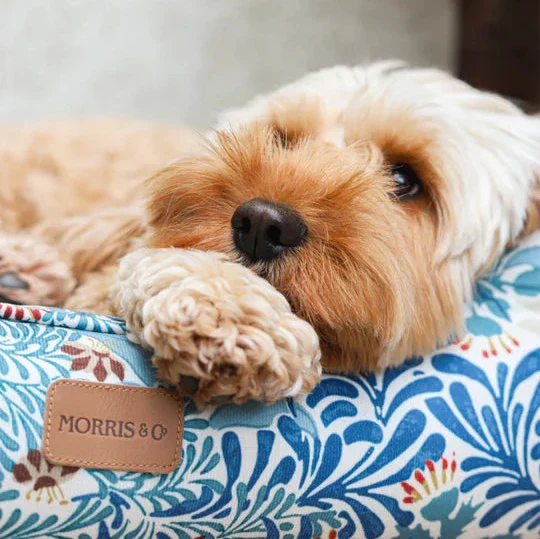 Morris & Co Bower Print Dog Bed - Image 2