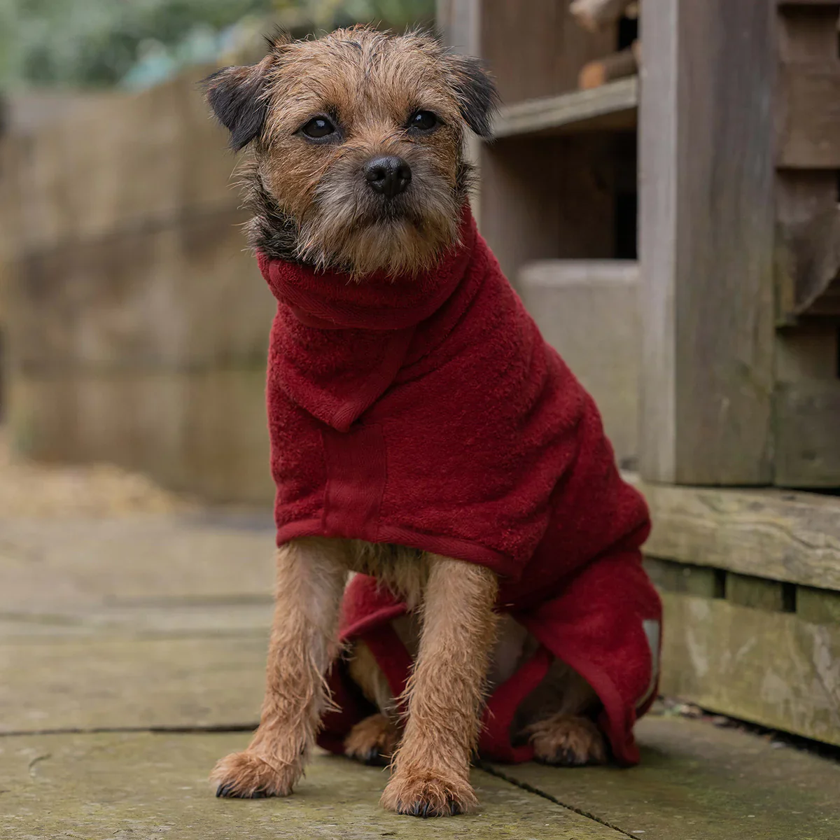 NEW Ruff and Tumble Dog Drying Coat - Rosehip Red - Image 2