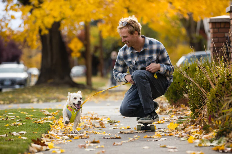 Ruffwear Hi & Light™ Everyday Dog Harness - Image 9
