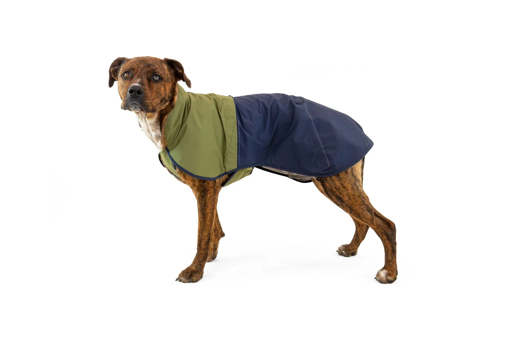 Ruffwear Sun Shower Jacket - Image 2