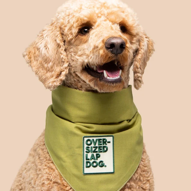 Scout's Honour Iron-on Patches for Dogs - Image 14