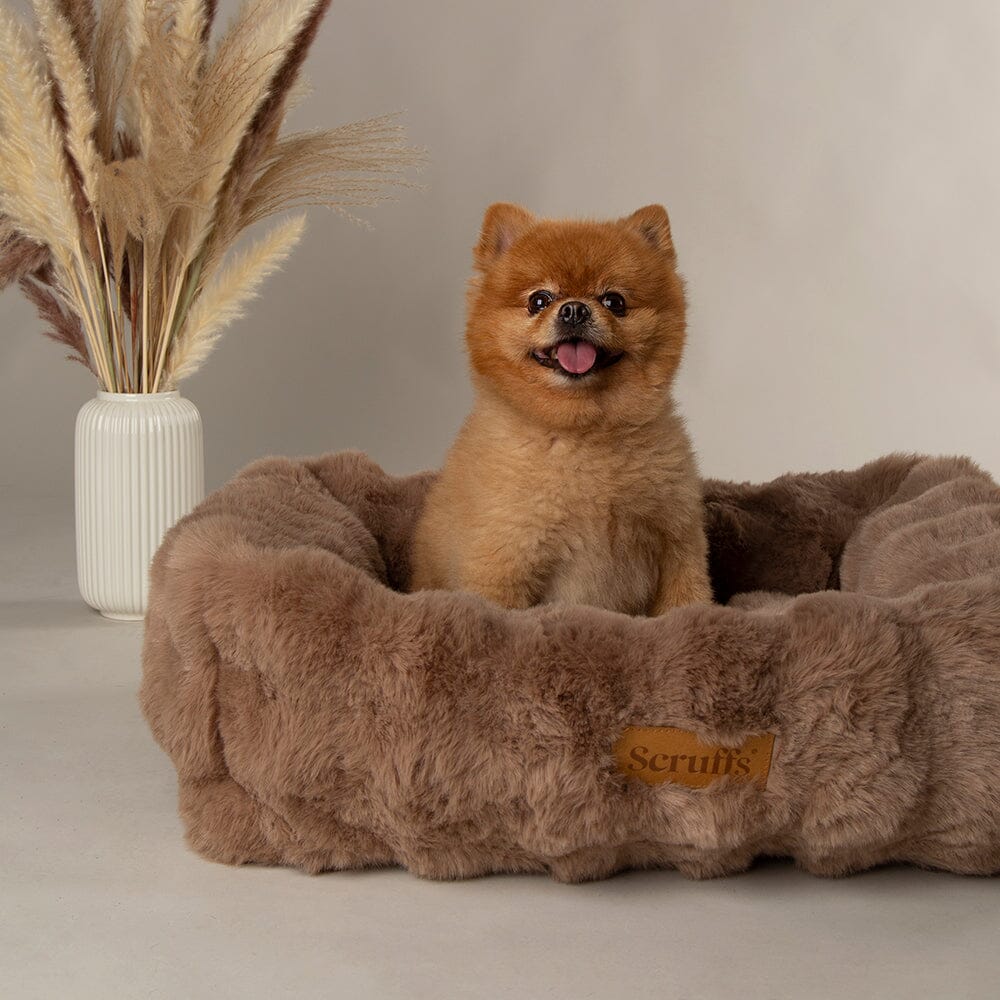 Scruffs Alpine Box Bed for Dogs - Image 3