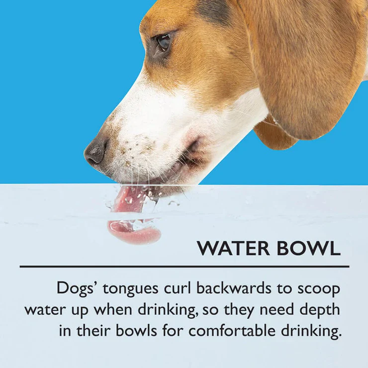 Scruffs Icon Water Bowl - Image 4