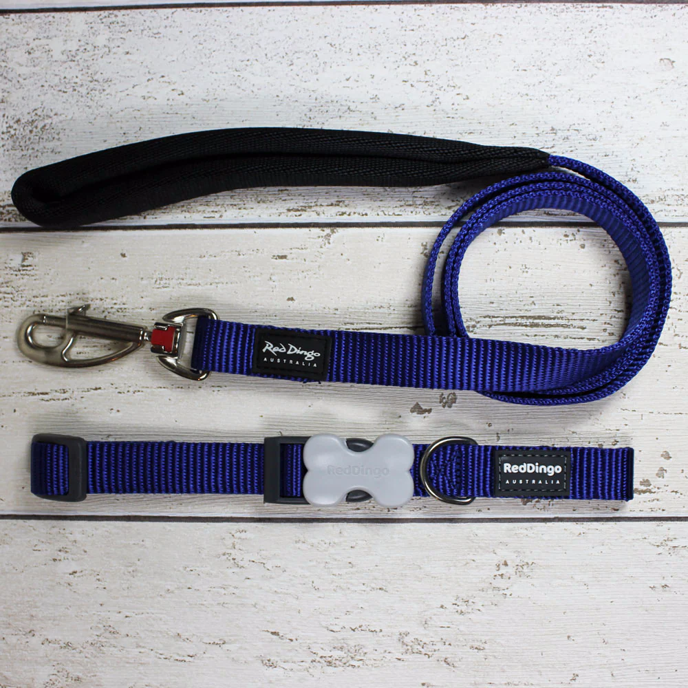 Simply Blue Dog Lead by Red Dingo - Image 3