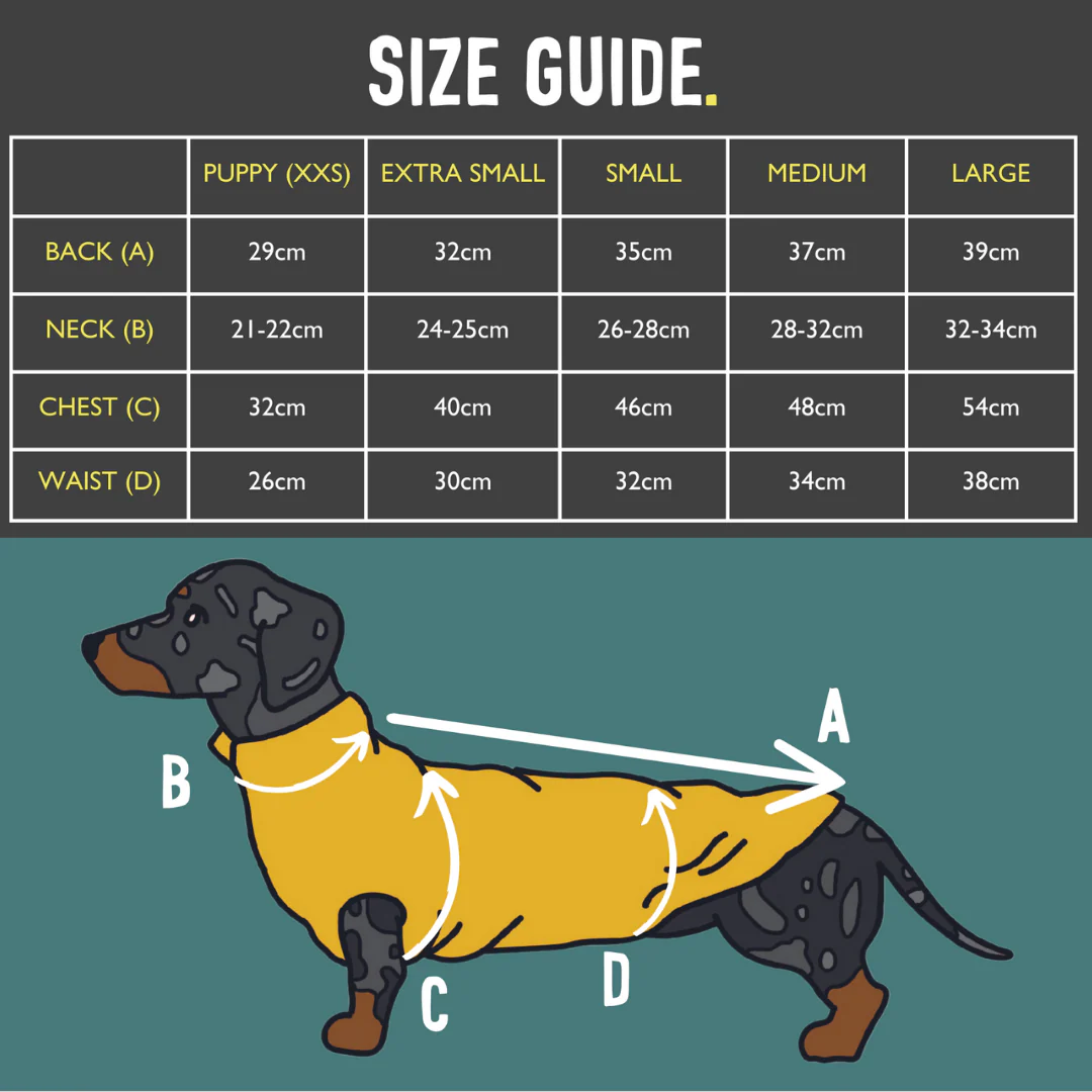 Spotty T-Shirts for Dachshunds - Image 5