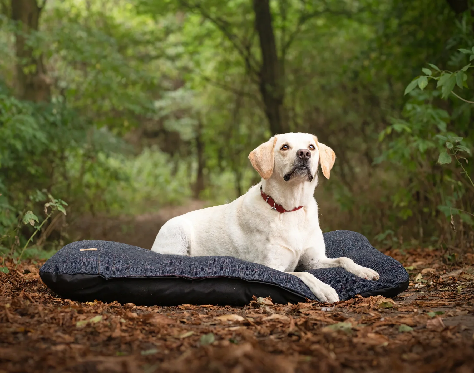 Tweed Pad Bed - Image 7