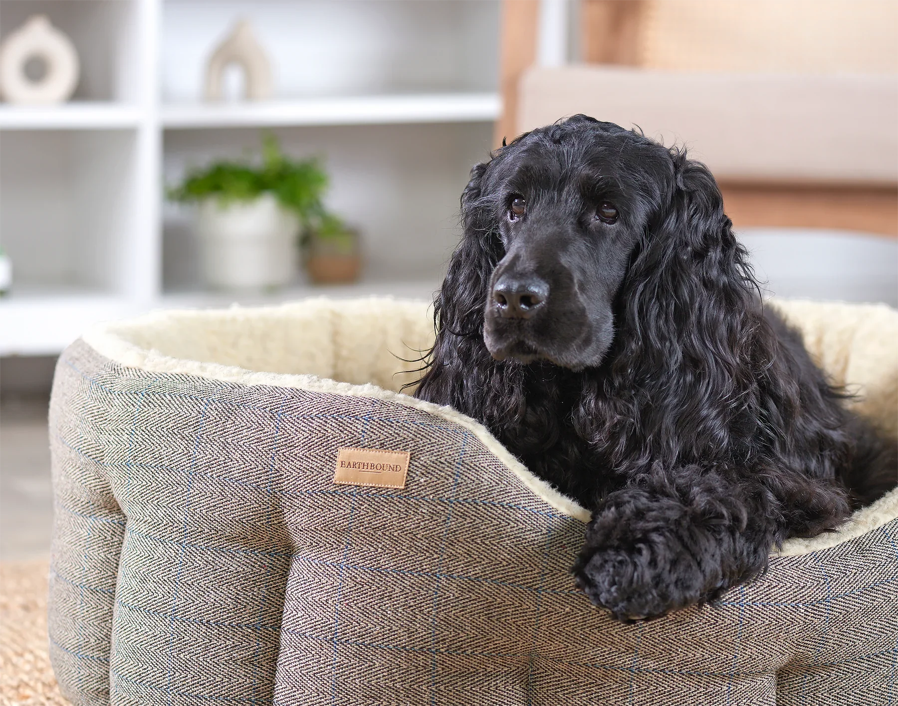 Earthbound Tweed Snuggle Bed - Image 6