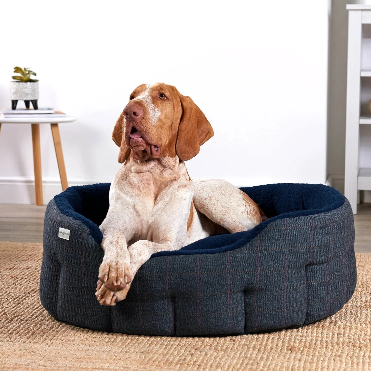 Earthbound Tweed Snuggle Bed - Image 7