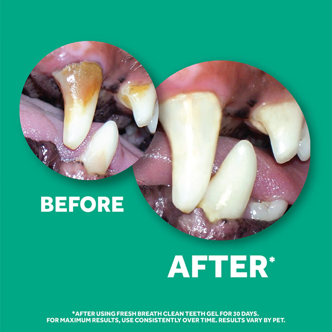 Tropiclean Fresh Breath Oral Care Gel for Dogs - Image 2